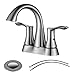 PARLOS Bathroom Faucet Two-Handle Centerset Design with Pop-up Drain and Faucet Supply Lines, Brushed Nickel,Demeter 13625