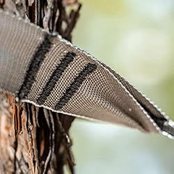 Hummingbird Hammocks Tree