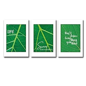 3 Panel Canvas Wall Art Colorful Life Canvas Prints Painting Wall Decor for Living Room Wooden Framed Home Decorations - 16"x24" x 3 Panels