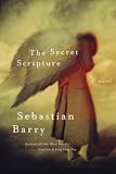 41l299c 9hL. SL160  Sunday Salon: The Secret Scripture