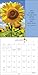 2016 Sunflowers Wall Calendar