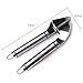 Delidge Stainless Steel Garlic Press & Peeler Set, Silicone Peeler Utensils Cooking Tools