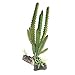 emours Cactus Plastic Plant Aquarium Ornament Fish Tank Desert Reptile Decoration