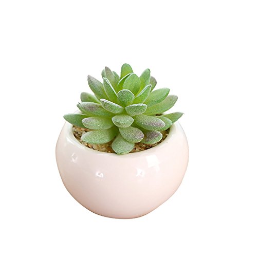 HIFUAR Realistic Artificial Green Succulent Plant Faux Potted Succulent for Home Indoor Decoration for Home(12x9cm)