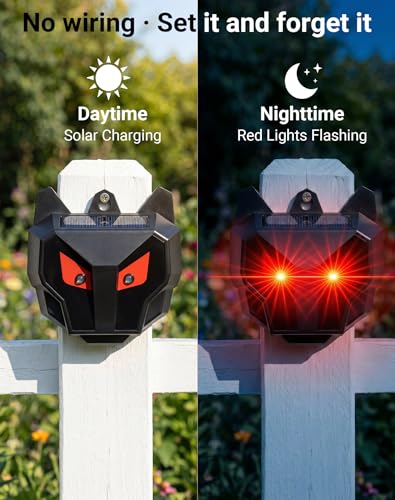 Coyote Deterrent Light Not Turning On At Night? 5 Fixes Before You Replace It 10 Thumbnail 10