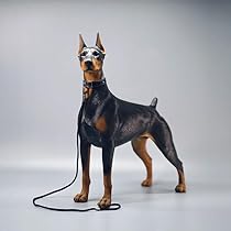 【Yasさま予約済】DOBERMANN / DOBERMAN INC. CD２枚 Amazon.com: MMOS X JXK Dobermann Dog Statue Dog Figurine for