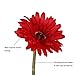 6PCS Artificial Flowers, 8.7'' Gerbera Daisies Silk Flowers Realistic Real Touch Fake Daisy Mum Flowers Chrysanthenum,Sunflowers Bouquet With Flocking Stems Gerber Daisy Fall Flowers for Home Decor