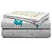 Jay Franco Disney Aladdin Dreams Bed Set, Full