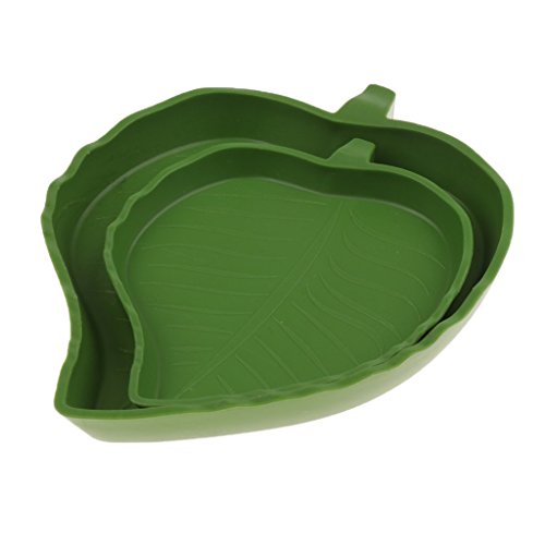 image for Baosity 4Pcs Shallow Reptile Amphibians Food and Water Dish Small Pets