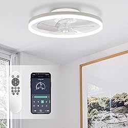 STERREN Ceiling Fans with Lights,20" Low Profile
