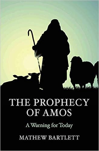 The Prophecy Of Amos A Warning For Today Bible Study Guide Faithbuilders Bible Studies Bartlett Mathew 9781910942192 Amazon Com Books