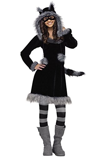 Fun World Sweet Raccoon Teen Costume