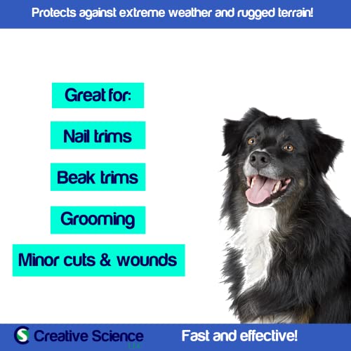 Creative Science Clotisol Blood Clotting Suspension 2 oz