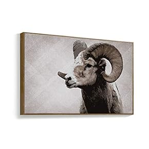 Framed Canvas Wall Art for Living Room, Bedroom Black and White Animal Canvas Prints for Home Decoration Ready to Hanging - 16x24 inches
