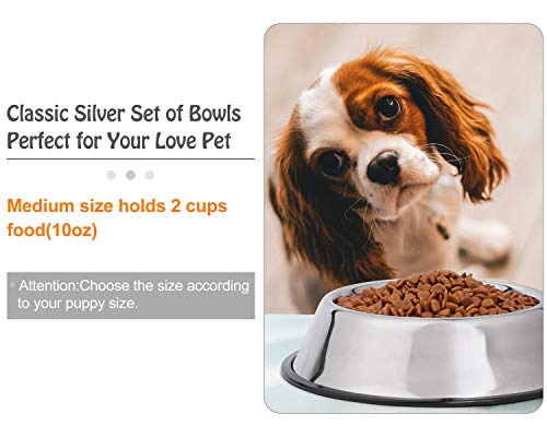 JASGOOD Stainless Steel Dog Bowls, Dog Feeding Bowls,Non-slip Rubber Bases Dog Plate Bowls, Medium Pet Feeder Bowls Water Bowls Set of 2(Medium,Silver)