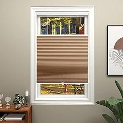 Changshade Blackout Cellular Shades Cordless, Top