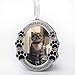 FASHIONCRAFT Pet Memorial Ornament Departed Paw Prints No Longer by Our Side Forever in Our Hearts Oval Metal Photo Frame Velvet Easel Back & Gift Box Table Top Remembrance Pewter Finish