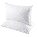 Sable Sleeping, 2 Pack Goose Down Alternative Quilted Bed Pillow, FDA Registered, Super Soft Plush Fiber Fill, Adjustable Loft, Relief for Neck Pain, Queen Size, White