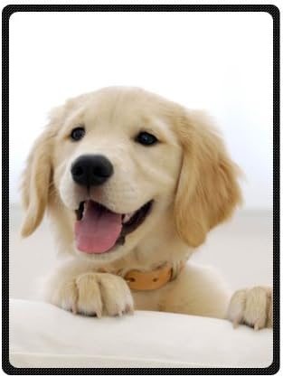 labrador retriever throw blanket