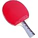 DHS X4002 4-Star Table Tennis Racket (Shakehand)