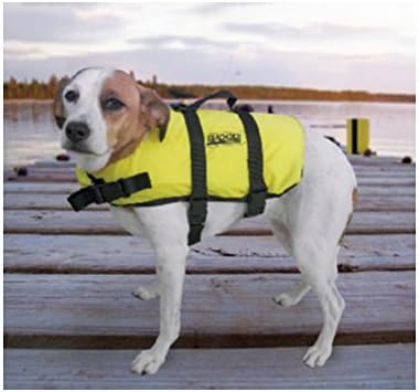 miss purrfect cat snacks