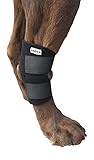 Labra Co. Dog Canine Rear Leg Hock Joint Wrap Protects Wounds as they Heal Compression Brace Heals and Prevents Injuries and Sprains Helps Arthritis