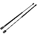 (2) 20 Inch 30 lbs Gas Prop Lift Springs Rod Struts Heavy Duty Tool Box Lid Top RV Pair