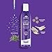 Powerful Purple Toning Shampoo, Sulfate Free Tones, Prevents, Balances Brassiness in Blonde, Color Treated, Silver, Grey Hair - Paraben Free, Vegan Friendly by MARC DANIELS Professional