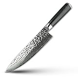 Best Japanese High Carbon Stainless Steel VG10 Handmade Damascus Chef Knife, 8