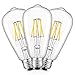 CRLight 6W 5000K LED Edison Bulb Daylight White, 700LM 70W Incandescent Equivalent, Replace 12W Compact Fluorescent CFL Bulbs, E26 Base ST64 Antique Clear Glass Dimmable LED Filament Bulbs, Pack of 3