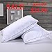 Homelike Moment Down Feather Pillow Feather Bed Pillows for Sleeping Standard Queen Size Set of 2