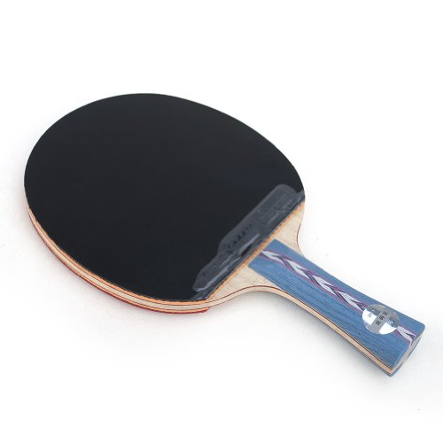 dhs hurricane 2 paddle