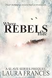 Where Rebels Hide: A Slave Series Prequel