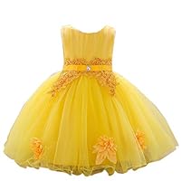 JIANLANPTT Baby Girls Embroidered Flower Lace Dress Toddler Formal Christening Baptism Gowns Style2 Yellow 1-2Years