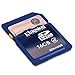 Kingston 16 GB Class 4 SDHC Flash Memory Card SD4/16GB