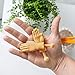 Fourth Castle Micromedia Toynk Tiny Hands Funny Gag Prank Novelty Item | 3 Inches Long