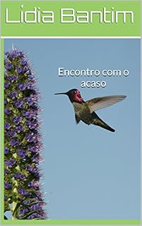 Livro O último voo:: um encontro com o sublime