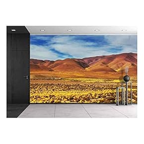 Landscapes of Northern Argentina - Removable Wall Mural | Self-Adhesive Large Wallpaper - 66x96 inches