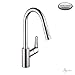 hansgrohe 04505000 Focus High Arc Kitchen Faucet, 16.1