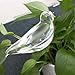 Kingbuy 4 Pack Plant Waterer Self Watering Globes,Watering cans for House Plants，Bird Shape Hand Blown Transparent Mini Durable Clear Glass Aqua Bulbsthumb 3