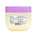 Amazon Brand - Solimo Petroleum Jelly with Lavender & Chamomile, 13 Ounce (Pack of 12)