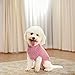 SCIROKKO Turtleneck Small Dog Sweaters - Classic Cable Knitwear Winter Coat for Small Medium Dogs Male Female Puppy Dog Cold Weather Clothes Girls Boys, Light Pink, S