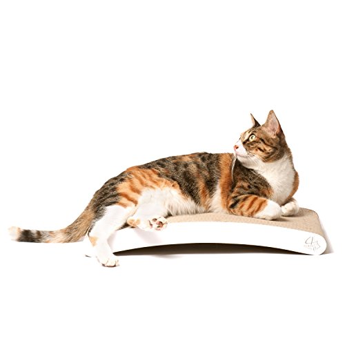 Top 10 Best Cat Scratchers Sisal Best of 2018 Reviews No Place