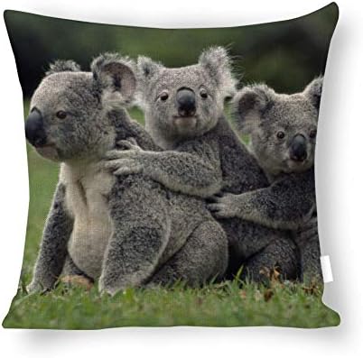 TANGGOOD Koalas Theme Square Cotton Linen Pillowcase Cushion Daily Decoration Sofa Gift Creative Home Pillow Cover 18x18 inch Zippered