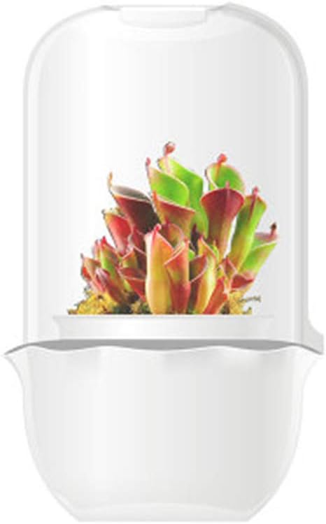 GYJ Intelligent Multi-meat Carnivorous Plant Flower Pot, with Rustic Wooden Base, for Plants, Succulents, Fairy Lights, Photos, Medals, Fill and More
