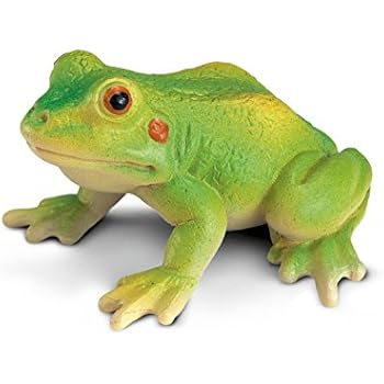 Image result for frog