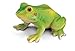 Schleich Frog