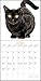 2019 Black Cats on White Calendar