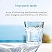 AQUACREST GXRTQR Inline Water Filter, NSF Certified, Compatible with GE GXRTQR, GXRTQ System, Reduces Chlorine, Fluoride, Limescale and More, For Refrigerator, IceMaker, RVs (2 Filters)