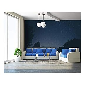 Beautiful Scenery with Trees Under The Starry Sky - Removable Wall Mural | Self-Adhesive Large Wallpaper - 66x96 inches